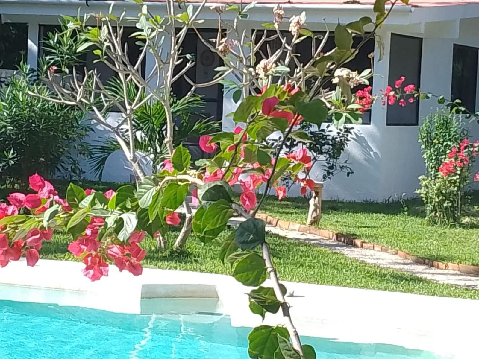 Kerubin Dorado Akumal
